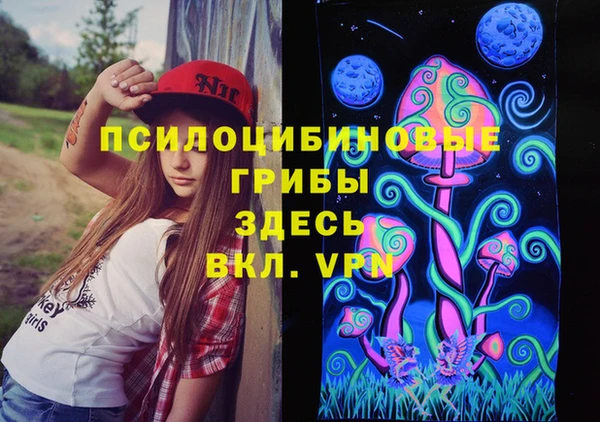 винт Алексеевка