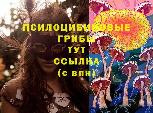 прущая мука Алзамай