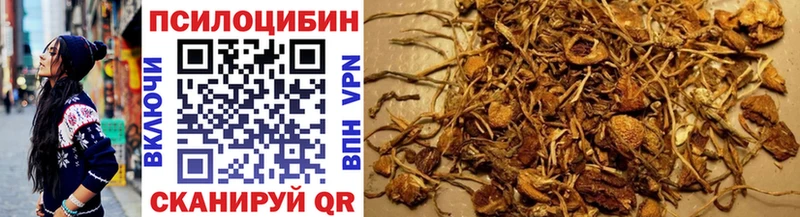 Псилоцибиновые грибы Psilocybe  MEGA онион  Лысьва 